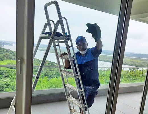 Window Cleaning Services